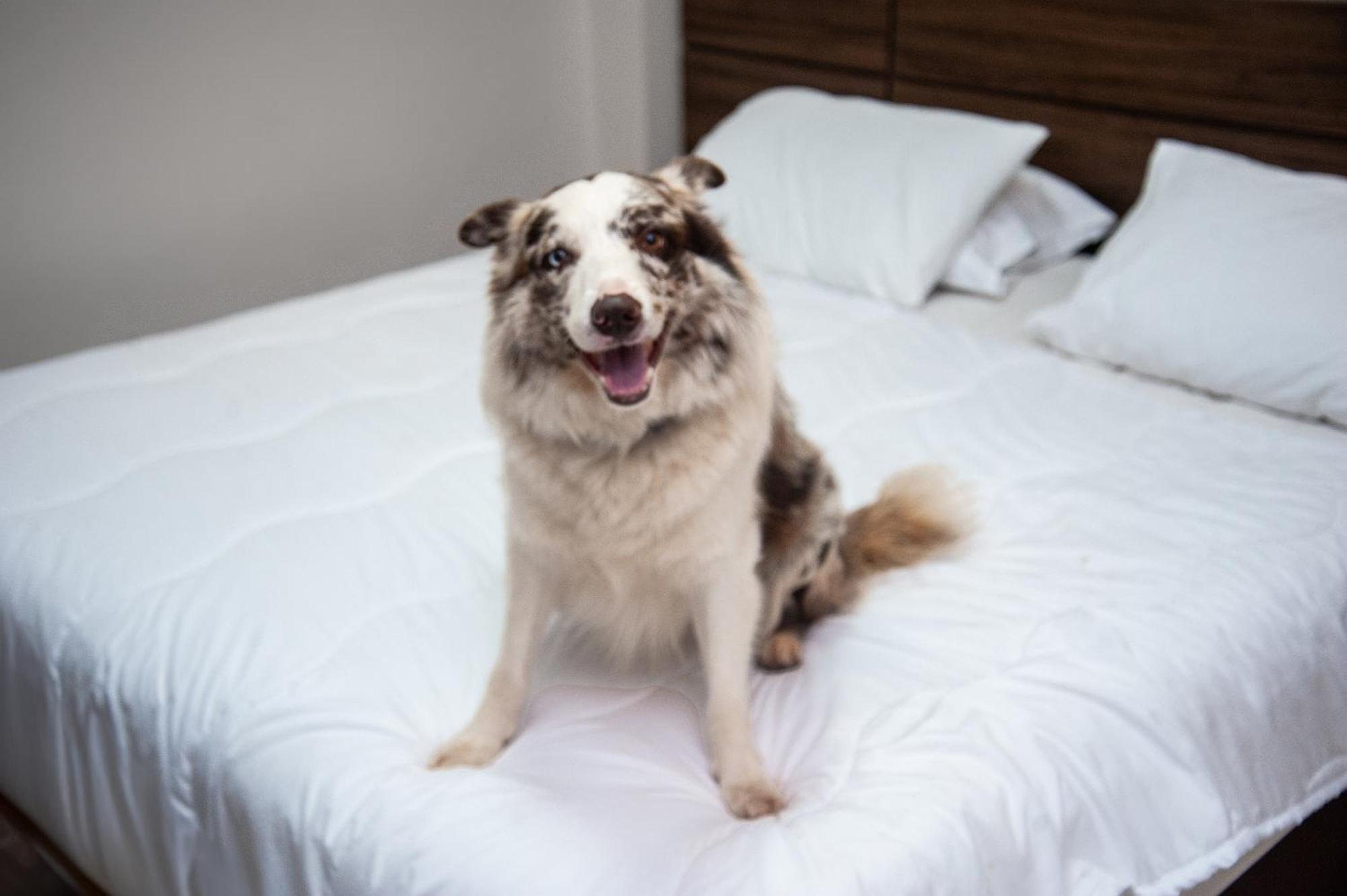 London Hotel 론드리나 외부 사진
